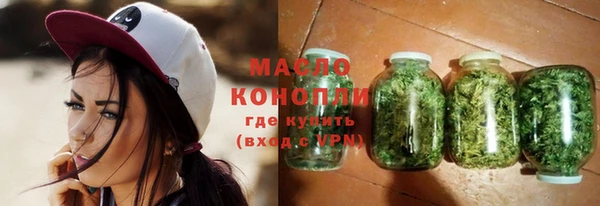 СК Алексин