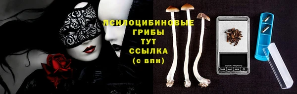 СК Алексин