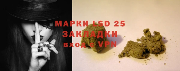 СК Алексин