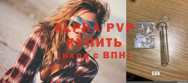 СК Алексин